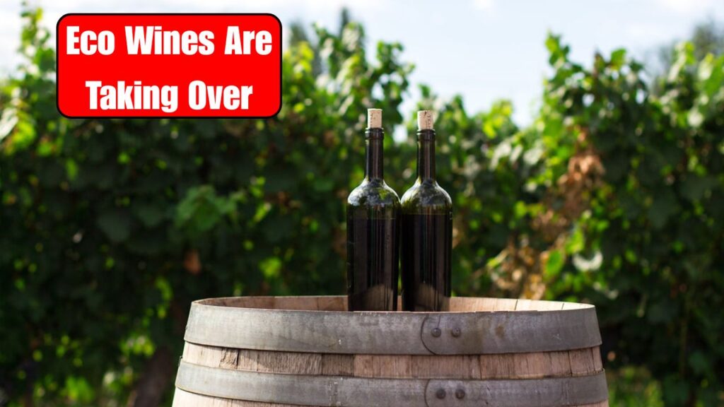 Eco Wines Are Taking Over